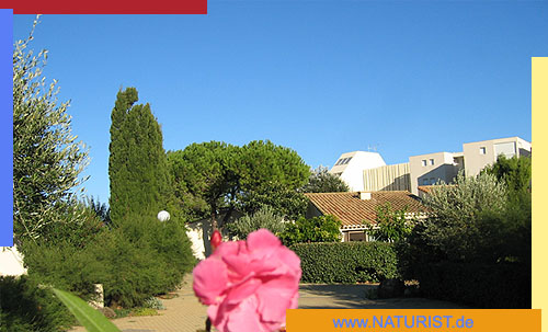 Cap d'Agde, Vermietung, Ferienwohnungen 